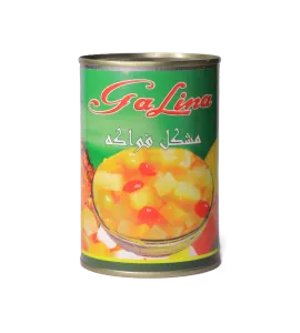فواكه مشكلة بالشراب جالينا 425جم