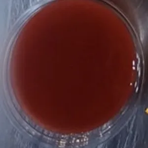 علبة شطة