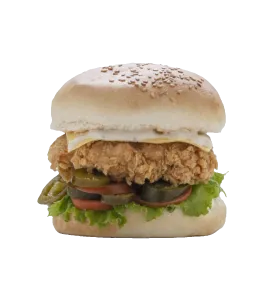 بازوكا تشكن رانش بان